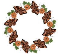 Sizzix™ Clear Stamps Set 13PK - Nature Butterflies by Lisa Jones