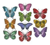 Sizzix Framelits Die Set 20PK-Flutter by Tim Holtz, Metal, Silver, 21 x 10.8 x 0.2 cm