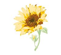 Sizzix Layered Clear Stamps 6PK Sunflower Stem by Olivia Rose, One Size