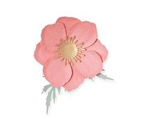 Sizzix Thinlits Die 665081 Icelandic Poppy by Olivia Rose, 3 Pack, Multicolour, One Size