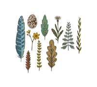 Sizzix Thinlits Die 665215 Funky Nature by Tim Holtz 10 Pack