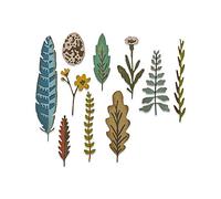 SIZZIX THINLITS DIES FUNKY NATURE BY TIM HOLTZ BNIP LOOK