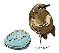 Sizzix Thinlits Die Set 11PK Bird & Egg Colorize by Tim Holtz, 665857, Multicolor, One Size