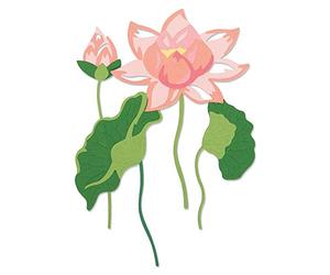 Sizzix Thinlits Die Set 16 Pack 663867, Layered Water Flower by Lisa Jones, Multicolour, One Size