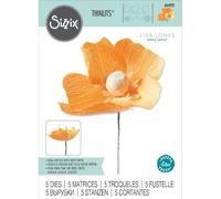 Sizzix Thinlits Die Set 5pcs - California Poppy 664921