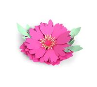 Sizzix Thinlits Die Set 663593, Peony Flower by Courtney Chilson, 5 Pack, One Size, Paper, Multi-Colour Colour