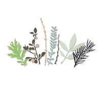 Sizzix Thinlits Die Set 9PK 664581 Hidden Leaves by Sophie Guilar