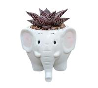 SJBAG Cute Animal Elephant Shaped Ceramic Succulent Cactus Air Plant Flower Pots Planters-Plant Not Included (3" Tall White)
