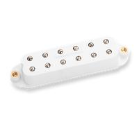 Sjbj-1b Jb Jr Strat White Hum Canc