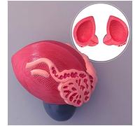 sjdoPulse Bladder Model - Male Bladder Prostate Enlargement Model - Human Organ Anatomical Model Enlarged Anatomical Model of The Bladder - for Science Class Study Teaching Display Teaching