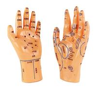 sjdoPulse Hand Acupuncture Model - 2 PCS Chinese Medicine Acupuncture Model Hand Massage Reflection Area Teaching Model for Herbalist Doctor Figurine Body Chinese Acupuncture (A)