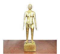 sjdoPulse Human Acupuncture Model - Pure Copper Acupuncture Figurine Human Body Acupuncture Point Model Clear Meridians Chinese Medicine Acupuncture for Herbalist Doctor Study Model (Brass)