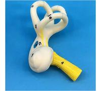 sjdoPulse Inner Ear Model - Mini Cochlear Labyrinth Model - Anatomical Labyrinth Inner Ear Model - Inner Ear Lost Model Medical Science Anatomical Model - for Medical Training Aid