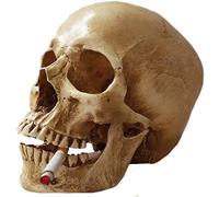 sjdoPulse Life Size Human Skull Model - Resin Skull Craft Skeleton Statue - Medical Resin Skull Head Human Skeleton Model - for Study Display Teaching, Art Teaching Skeleton Decoration Statue (A)