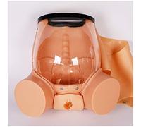 sjdoPulse Manikin Teaching Training - Childbirth Teaching Model -Comprehensive Childbirth Training Model - Female Pelvic Model Childbirth Teaching Model