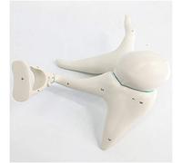 sjdoPulse Medical Anatomical Human Internal Ear Auditory Ossicles And Tympanic Membrane Enlarge Model Human Organ Anatomy Model Human Ear Model for Study Teaching (A)
