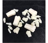 sjdoPulse Practical False Dental Teeth Model - A Pair of Children's Tooth Preparation Model - Dental Teeth Teaching Model - Resin Artificial Standard Tooth Model