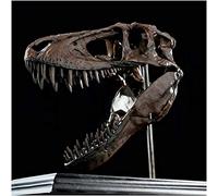 sjdoPulse Tyrannosaurus Rex Skull - Dinosaur Skull Sculpture Scale Replica Model - Handmade Dinosaur Resin Statue Model - for Archaeological Animal Resear (A)