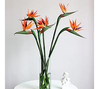 SJDWDX 5Pcs Artificial Strelitzia,Fake Flower Bird of Paradise,21.7 Inch Simulation Plastic Plant For Floral Arrangement Art Holiday Home Party Decor