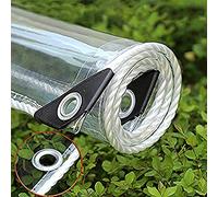 SJMFGF Heavy Duty Waterproof PVC Transparent Tarpaulin Poly Clear Vinyl Tarp Cover,Anti-Aging Insulation Soft,Clear Awning Canopy Patio Enclosure(0.3mm/365g/m²) (Size : 3 * 4M/9.8 * 13ft)