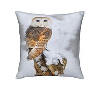 SJOAOAA Square Throw Pillow Covers Cute Owl Standing in Snow Pillow Cases Decorative for Home Bedroom Sofa Winter Animal Bird Creative Print Pillowcases Standard Size 18X18 Inch