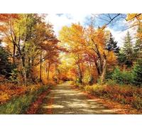 SJOLOON Fall Photography Backdrop Autumn Backdrop Fallen Leaves Real Natural Landscape Photography Background for Party Decoration Banner Baby Shower Studio Props 11631 (8x6FT)