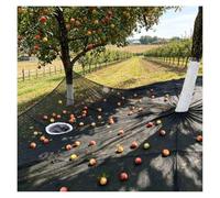 SJWJWOO Fruit Catching Net for Under Trees, Easy Picking Reusable Fruit Net for Ground with Fruit Export Hoop and Loop Side Rope Strap for Olive, Walnut, Pecan, Chestnut,Square-20×20ft（6 * 6m）