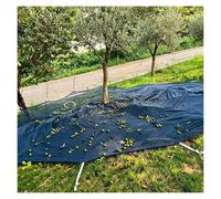 SJWJWOO Under Tree Fruit Catcher Net, Easy Picking Reusable Fruit Picker Tool with Center Opening, Export Hoop for Trees Walnut Olive Chestnut Plum,Round-16×16FT(5 * 5m)