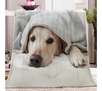 SJYHNB Animal Golden Retriever Pattern Fleece Throw Blanket, 130 x 150cm, Yellow