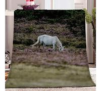 SJYHNB Rooms Sherpa Fleece Blanket White horse Bed Throws Blankets For Sofas Soft Fluffy Thick Travel Blanket Reversible Microfiber Throw 59x78.7 inch