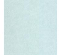 Sk Filson Duck Egg Plain Wallpaper
