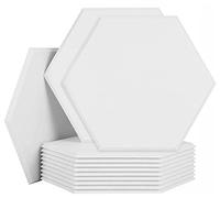 SK Studio 12 Pack Hexagon Acoustic Panels, 12 x 10 x 0.4 inches Sound Absorbing Panels Acoustical Wall Panels for Recording Studio, Office, Home Studio White