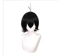 Sk8 the Infinity Miya Cosplay 33cm Wig Short Black Wig Cosplay Anime Cosplay Wigs Heat Resistant Synthetic Wigs Halloween Party