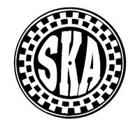 Ska Circle Logo DJ Vinyl Turntable Slipmat