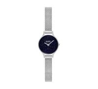 Skagen Anita Micro Women's 22MM Silver-Tone Stainless Steel Watch, SKW3172