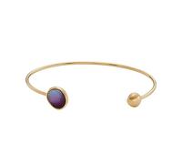 Skagen Bracelet for Women Sea Glass, Length: 165mm, Width: 10.8mm Gold Stainless Steel Bracelet, SKJ1688710