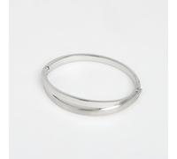 Skagen Kariana Silver Stainless Steel Hinged Bangle Bracelet Womens SKJ0714040