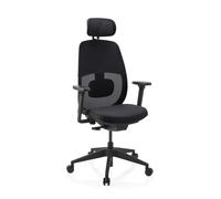 Skandis Pro | with headrest | Frame: Black - Professional Office Chair Black