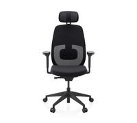 Skandis Pro | with headrest | Frame: Black - Professional Office Chair Black / Black