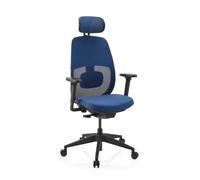 Skandis Pro | with headrest | Frame: Black - Professional Office Chair Blue