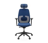 Skandis Pro | with headrest | Frame: Black - Professional Office Chair Blue / Black