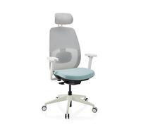 Skandis Pro | with headrest | Frame: White - Professional Office Chair Mint