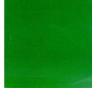 Skankin' Pickle - Green Album [VINYL]