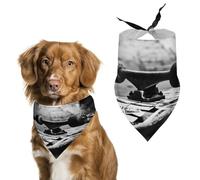 Skate Boards Pet Scarf,Soft Durable Triangle Dog Bandanas Lightweight Breathable Comfortable Pet Bib for Small Medium Large Breed.