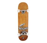 Skate ENUFF Big Wave Complete Brown/Silver 8x32