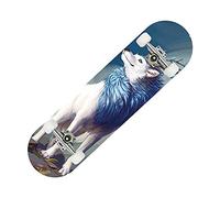 skateboard, 31 "X 8" Complete Skateboard, 8 Layer Maple Double Kick Boards, Skateboards for Adults Beginners Teens Boys Girls(39)