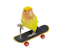 Skateboard Bird Toyadores - Educational Perch Trainer, Skill Building Board | Interactive Pet Toy Increases Intelligence, Fun Tool
