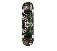Skateboard Wasteland Green 78cm Skateboard Tony Hawk Multi One Size