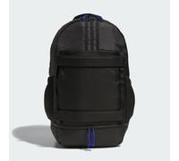 Skateboarding Backpack