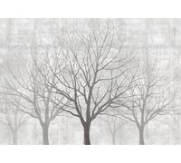 skdhlifpj Photography Wallpaper Black Trees 300cmx256cm 3D Mural Winter Rainforest Black-and-White Woodland Kids Living Room Bedroom Wallpaper